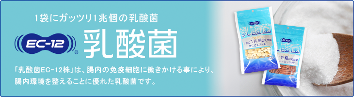 乳酸菌EC-12株は腸内の免疫細胞に働きかける事により、腸内環境を整えることに優れた乳酸菌です