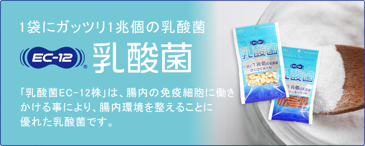 乳酸菌EC-12株は腸内の免疫細胞に働きかける事により、腸内環境を整えることに優れた乳酸菌です